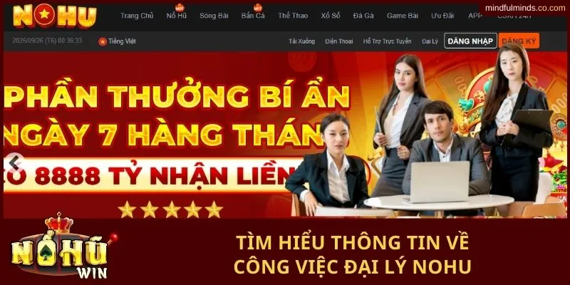 Tìm hiểu thông tin về công việc đại lý Nohu 